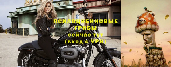 стаф Арсеньев