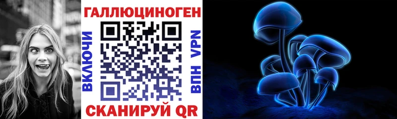 продажа наркотиков  Реж  Галлюциногенные грибы GOLDEN TEACHER 